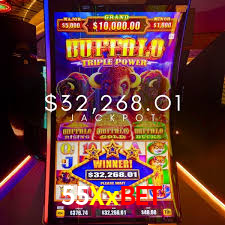 55Xx Bet App